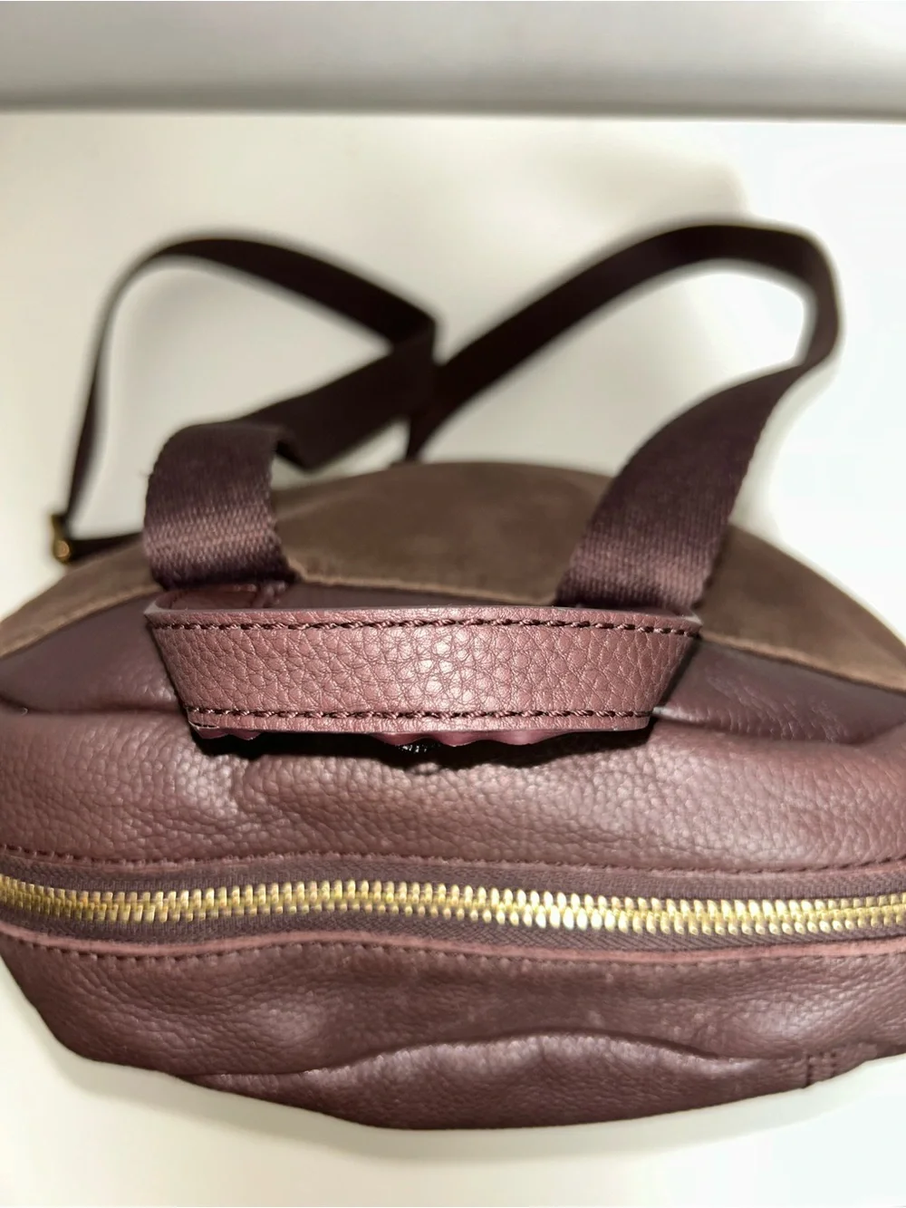 The Sak De Young Brown Pebbled Leather Zip Backpack